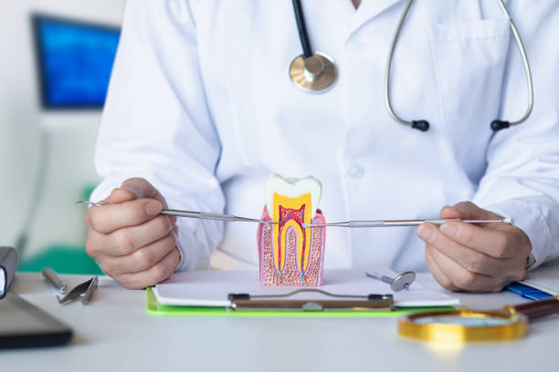 Best Emergency Dentist for Special Needs Patients in Avalon, CA